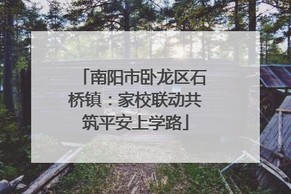 南阳市卧龙区石桥镇：家校联动共筑平安上学路