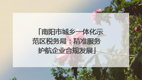 南阳市城乡一体化示范区税务局：精准服务护航企业合规发展