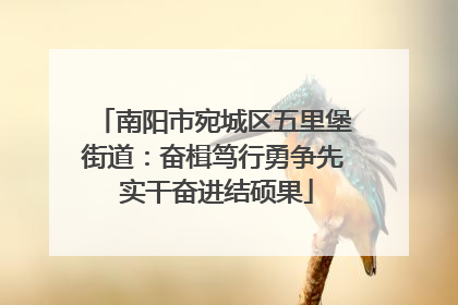 南阳市宛城区五里堡街道：奋楫笃行勇争先 实干奋进结硕果