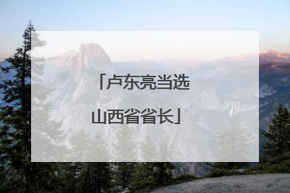 卢东亮当选山西省省长