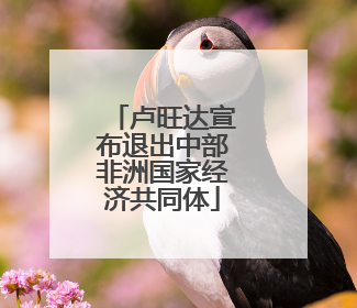 卢旺达宣布退出中部非洲国家经济共同体