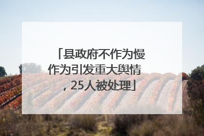 县政府不作为慢作为引发重大舆情，25人被处理