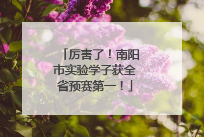 厉害了！南阳市实验学子获全省预赛第一！
