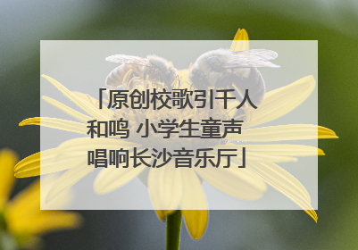 原创校歌引千人和鸣 小学生童声唱响长沙音乐厅