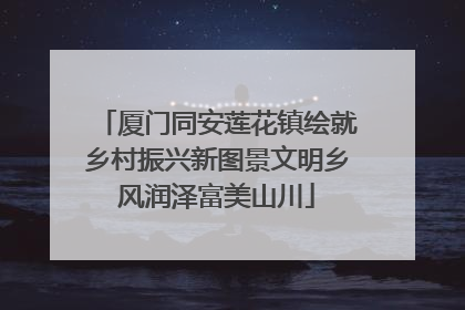厦门同安莲花镇绘就乡村振兴新图景文明乡风润泽富美山川
