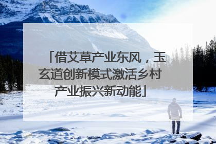 借艾草产业东风，玉玄道创新模式激活乡村产业振兴新动能