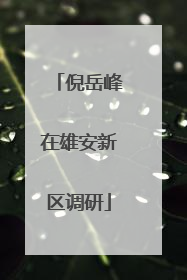 倪岳峰在雄安新区调研