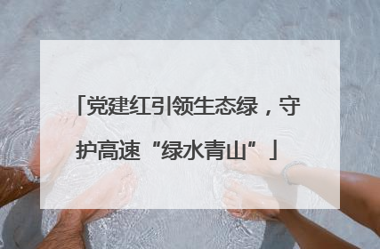 党建红引领生态绿，守护高速“绿水青山”