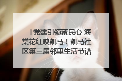 党建引领聚民心 海棠花红映凯马！凯马社区第三届邻里生活节谱写幸福新篇章