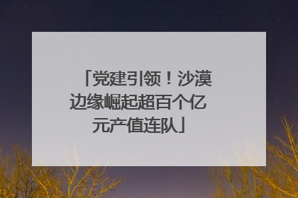 党建引领！沙漠边缘崛起超百个亿元产值连队