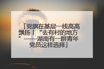 党旗在基层一线高高飘扬丨“去有村的地方”——湖南有一群青年党员这样选择