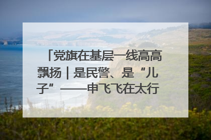 党旗在基层一线高高飘扬｜是民警、是“儿子”——申飞飞在太行山中的一线坚守