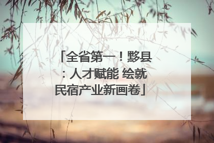 全省第一！黟县：人才赋能 绘就民宿产业新画卷