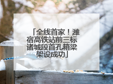 全线首家！潍宿高铁站前三标诸城段首孔箱梁架设成功