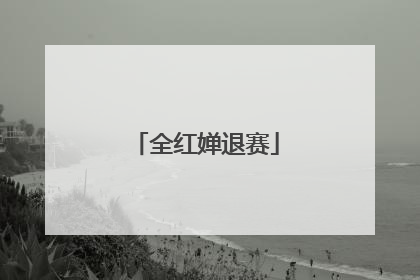 全红婵退赛