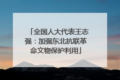 全国人大代表王志强：加强东北抗联革命文物保护利用