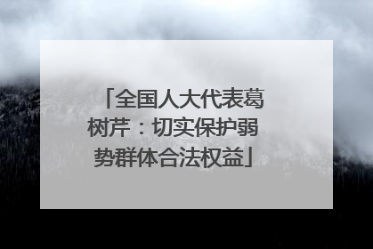 全国人大代表葛树芹：切实保护弱势群体合法权益