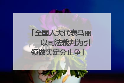 全国人大代表马丽——以司法裁判为引领做实定分止争