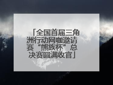 全国首届三角洲行动网咖邀请赛“熊族杯”总决赛圆满收官