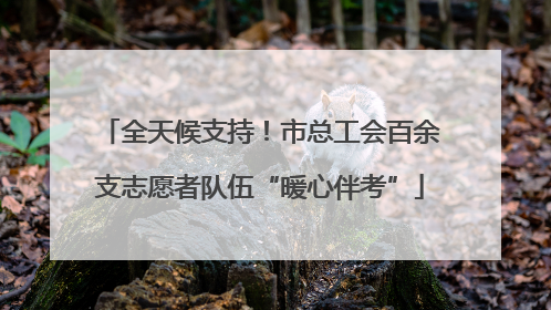 全天候支持！市总工会百余支志愿者队伍“暖心伴考”