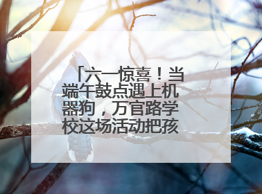 六一惊喜！当端午鼓点遇上机器狗，万官路学校这场活动把孩子们看呆啦→