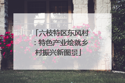 六枝特区东风村：特色产业绘就乡村振兴新图景