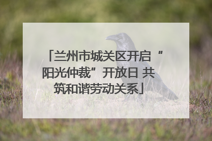 兰州市城关区开启“阳光仲裁”开放日 共筑和谐劳动关系