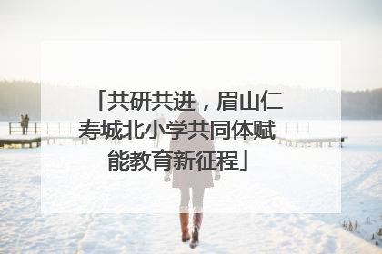 共研共进，眉山仁寿城北小学共同体赋能教育新征程
