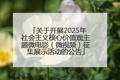 关于开展2025年社会主义核心价值观主题微电影（微视频）征集展示活动的公告