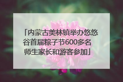 内蒙古美林镇举办悠悠谷首届粽子节600多名师生家长和游客参加