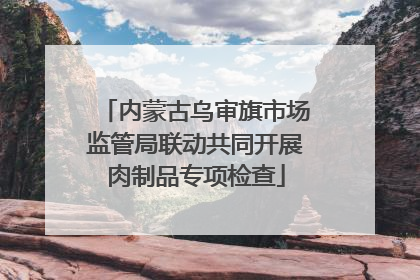 内蒙古乌审旗市场监管局联动共同开展肉制品专项检查