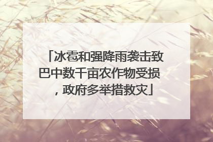 冰雹和强降雨袭击致巴中数千亩农作物受损，政府多举措救灾