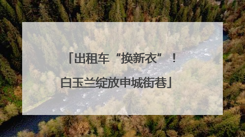 出租车“换新衣”！白玉兰绽放申城街巷