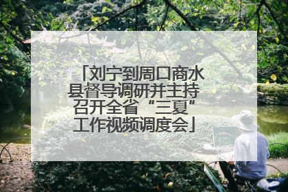 刘宁到周口商水县督导调研并主持召开全省“三夏”工作视频调度会