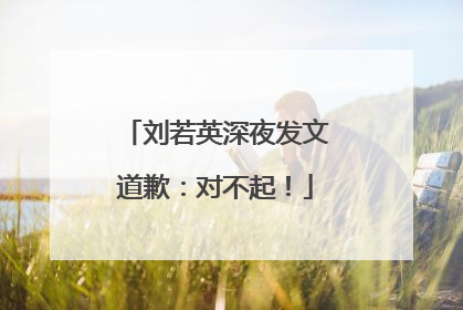 刘若英深夜发文道歉：对不起！