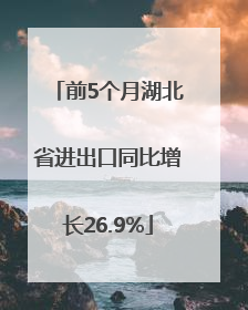 前5个月湖北省进出口同比增长26.9%