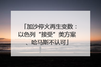 加沙停火再生变数：以色列“接受”美方案、哈马斯不认可