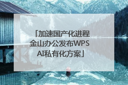 加速国产化进程 金山办公发布WPS AI私有化方案