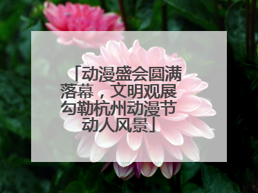 动漫盛会圆满落幕，文明观展勾勒杭州动漫节动人风景