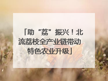 助“荔”振兴！北流荔枝全产业链带动特色农业升级