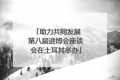 助力共同发展 第八届进博会座谈会在土耳其举办