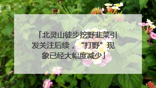 北灵山徒步挖野韭菜引发关注后续，“打野”现象已经大幅度减少