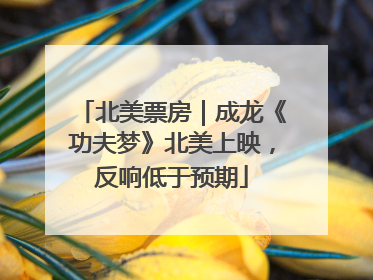 北美票房｜成龙《功夫梦》北美上映，反响低于预期