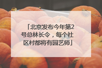北京发布今年第2号总林长令，每个社区村都将有园艺师