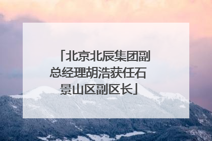 北京北辰集团副总经理胡浩获任石景山区副区长