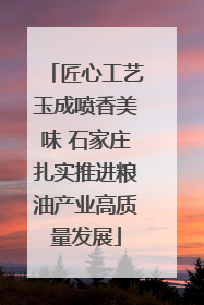 匠心工艺玉成喷香美味 石家庄扎实推进粮油产业高质量发展