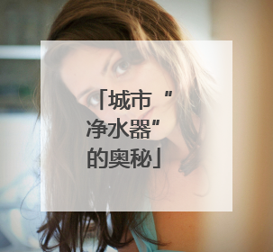 城市“净水器”的奥秘