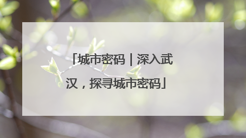 城市密码｜深入武汉，探寻城市密码