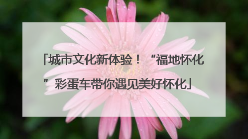 城市文化新体验！“福地怀化”彩蛋车带你遇见美好怀化