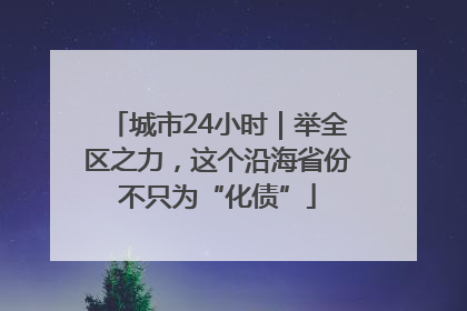 城市24小时｜举全区之力，这个沿海省份不只为“化债”